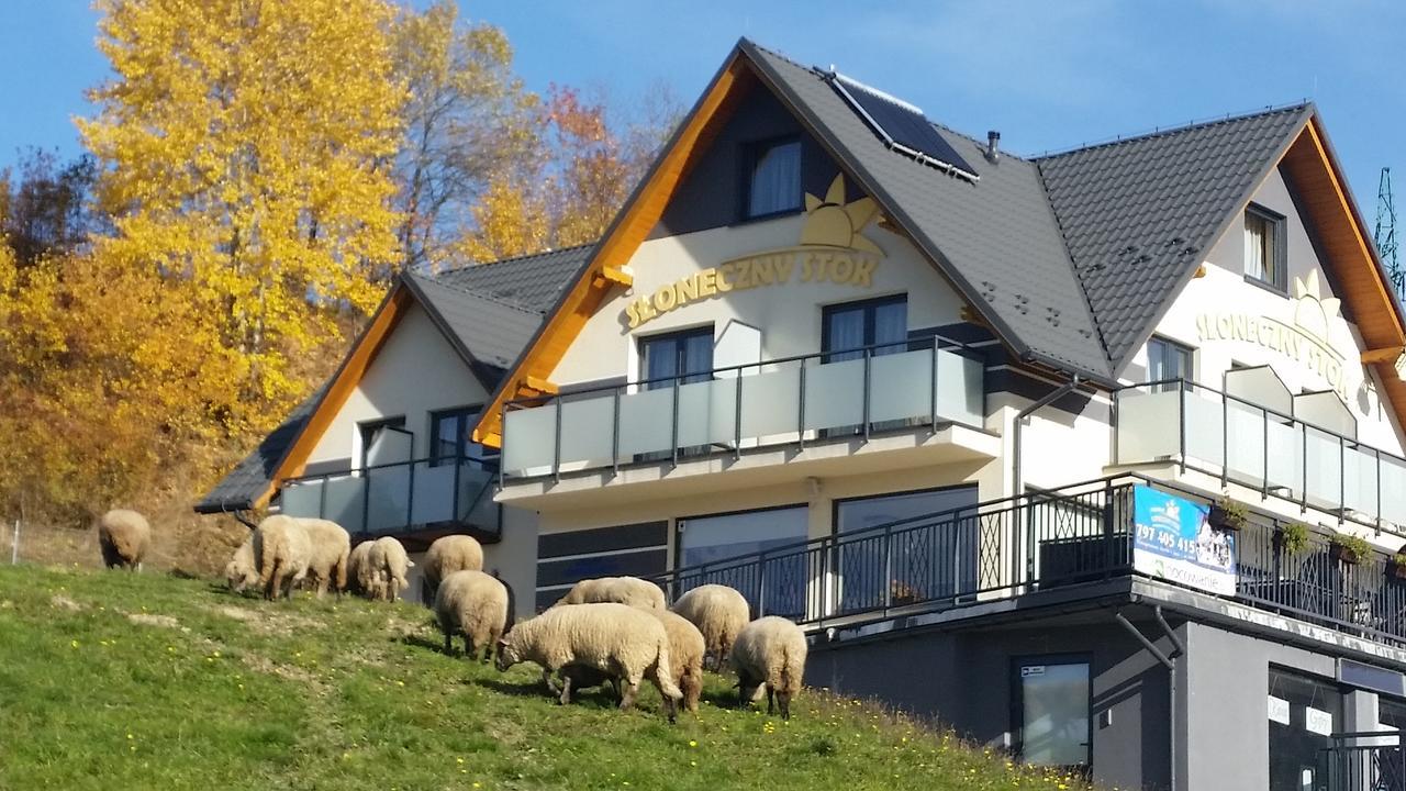 Appartamento Sloneczny Stok Miedzybrodzie Żywieckie Esterno foto
